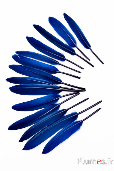 Oca lama - 10-15 cm - blu notte